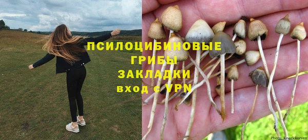 сатива Алзамай