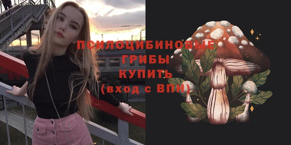 соль ск Алексин